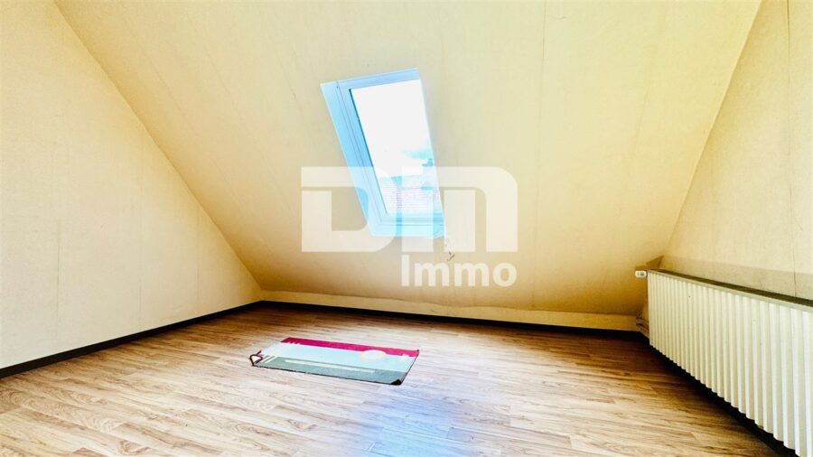 Einzigartiges Immobilien-Ensemble: Zwei Wohnhäuser MFH + EFH mit Halle auf ca. 5.300 m² Grundstück - DG ausgebauter Dachboden / Schlafzimmer